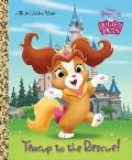 Teacup to the Rescue! (Disney Princess: Palace Pets)