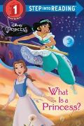 What Is a Princess Disney Princess