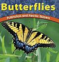 Butterflies Pollinators & Nectarsippers