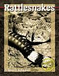 Rattlesnakes (Predators in the Wild)
