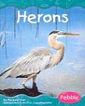 Herons