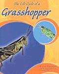 The Life Cycle of a Grasshopper