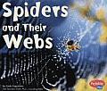 Spiders & Their Webs