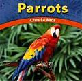 Parrots Colorful Birds