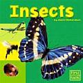 Insects (First Facts: Exploring the Animal Kingdom)