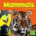 Mammals (First Facts)