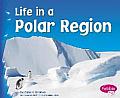 Life in a Polar Region