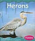 Herons