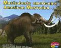 Mastodonte Americano American Mastodon