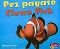Pez Payaso Clown Fish