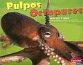 Pulpos Octopuses