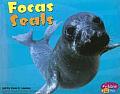 Focas Seals