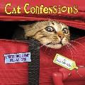 Cat Confessions A Kitty Come Clean Tell All Book