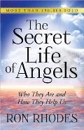 Secret Life of Angels Who They Are & How They Help Us