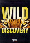 Wild Discovery