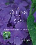 Ceiling Of Sky Special Garden Rooms