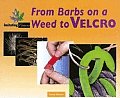 From Barbs on a Weed to Velcro