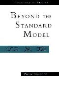 Journeys Beyond The Standard Model