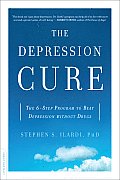 Depression Cure The 6 Step Program to Beat Depression without Drugs