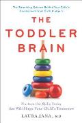 Toddler Brain Nurture the Skills Today That Will Shape Your Childs Tomorrow
