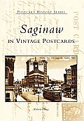 Postcard History Series||||Saginaw in Vintage Postcards