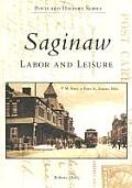 Postcard History Series||||Saginaw