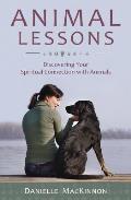 Animal Lessons Discovering Your Spiritual Connection with Animals