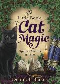 Little Book of Cat Magic Spells Charms & Tales
