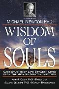 Wisdom of Souls Case Studies of Life Between Lives From The Michael Newton Institute