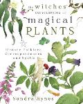 Witches Encyclopedia of Magical Plants