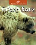 Grizzly Bears Untamed World