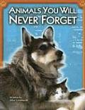 Steck-Vaughn Pair-It Books Proficiency Stage 6: Individual Student Edition Animals You Will Never Forget