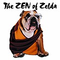 Zen Of Zelda Wisdom From The Doggy Lama