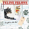 Feline Felons Caught In The Act
