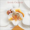Cal07 Anne Geddes Inspirational Collecti