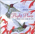 Flight Plans A Birds Eye View Of Life