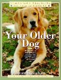 Your Older Dog A Complete Guide To Helping You