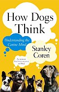 How Dogs Think Understanding the Canine Mind