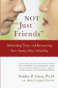 Not Just Friends Rebuilding Trust & Recovering Your Sanity After Infidelity