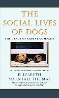 Social Lives of Dogs The Grace of Canine Company