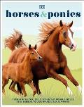 Horses & Ponies