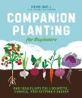 Companion Planting for Beginners Pair Your Plants for a Bountiful Chemical Free Vegetable Garden