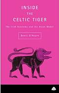 Inside the Celtic Tiger