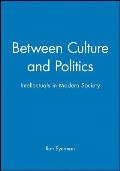 Between Culture and Politics: Intellectuals in Modern Society