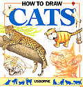 How To Draw Cats Young Artist Usborne