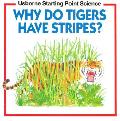 Why Do Tigers Have Stripes