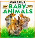 Baby Animals Board Book Young Nature Bo