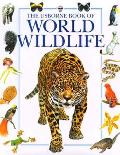 Usborne Book Of World Wildlife