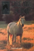 Sandy Lane Stables 05 Dream Pony