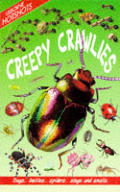 Creepy Crawlies Usborne Hotshots